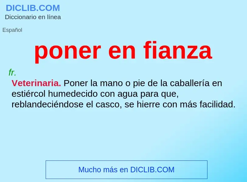 O que é poner en fianza - definição, significado, conceito