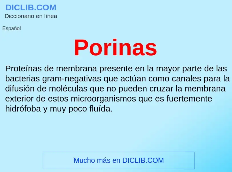 ¿Qué es Porinas? - significado y definición