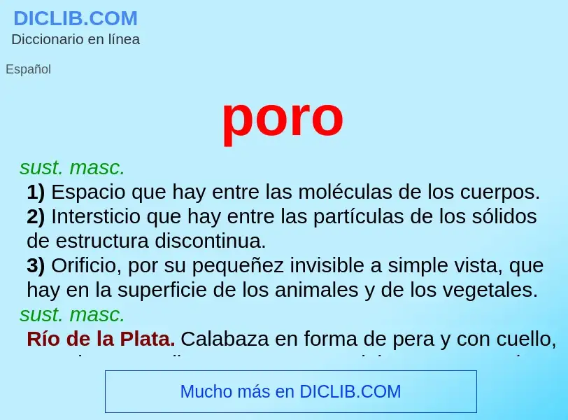 ¿Qué es poro? - significado y definición