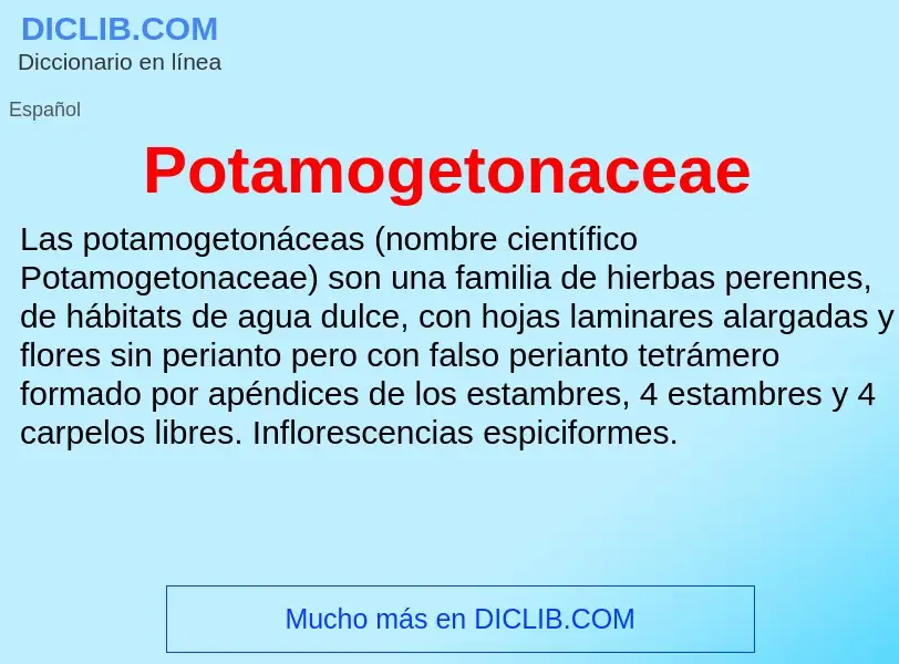 ¿Qué es Potamogetonaceae? - significado y definición