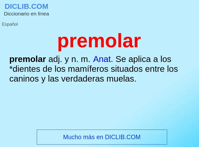 ¿Qué es premolar? - significado y definición