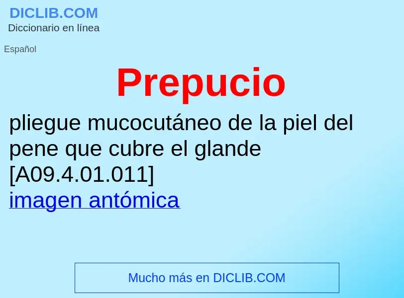 Wat is Prepucio - definition