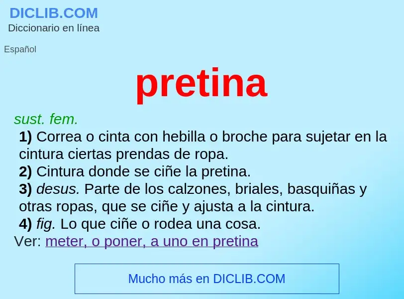 What is pretina - definition