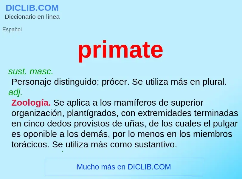 ¿Qué es primate? - significado y definición