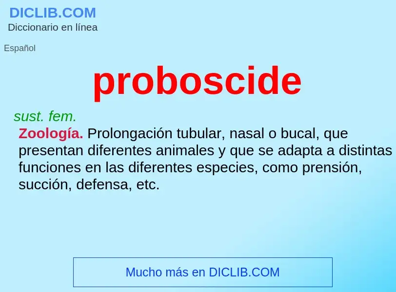 Что такое proboscide - определение