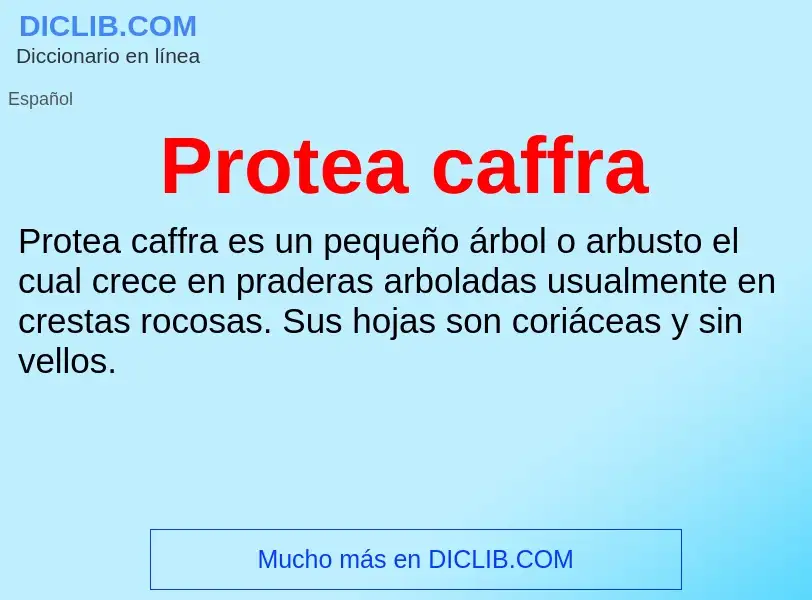 ¿Qué es Protea caffra? - significado y definición