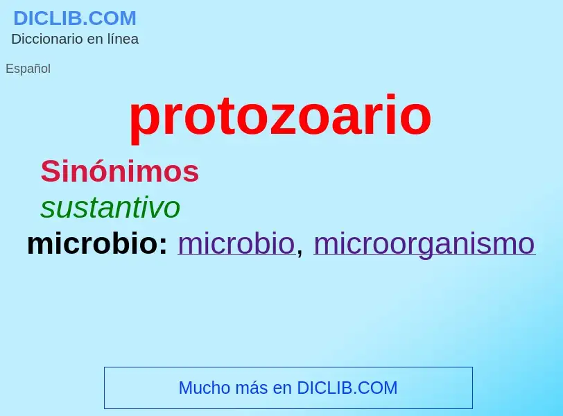 Что такое protozoario - определение