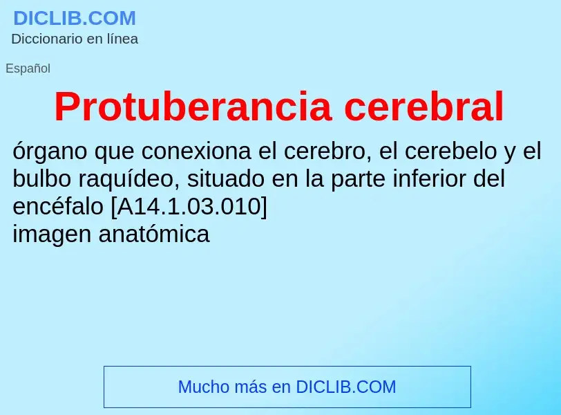 ¿Qué es Protuberancia cerebral? - significado y definición