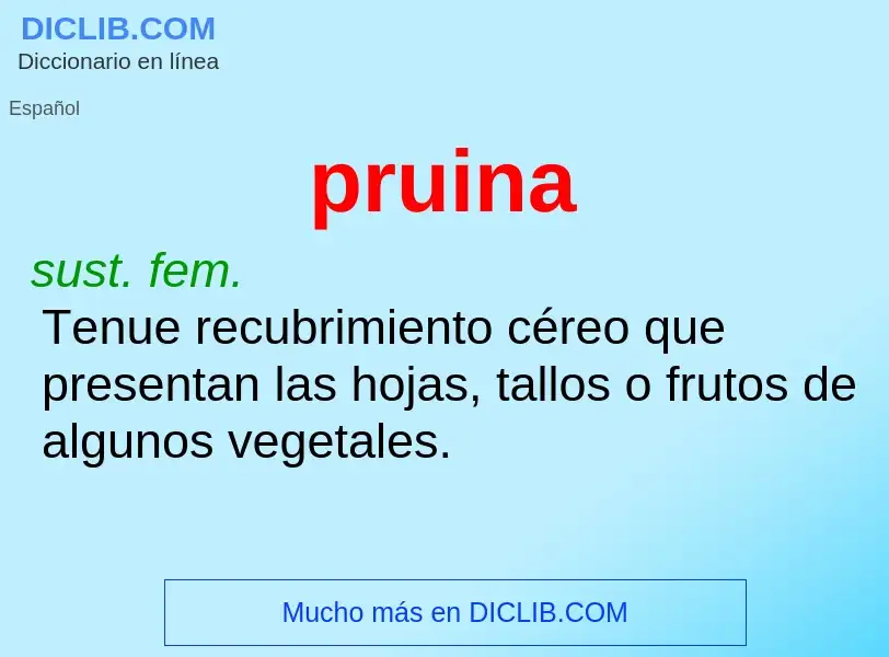 ¿Qué es pruina? - significado y definición