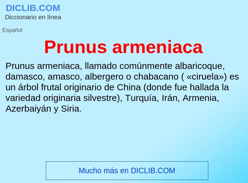 Что такое Prunus armeniaca - определение