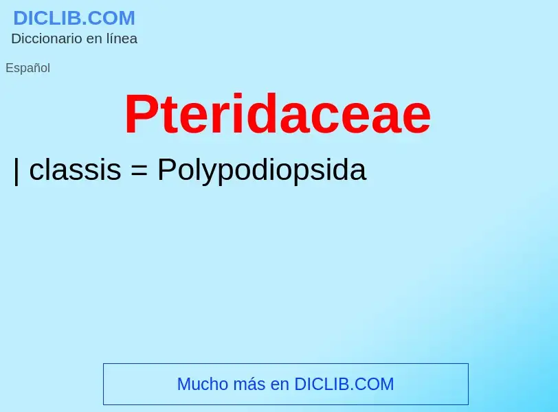 ¿Qué es Pteridaceae? - significado y definición