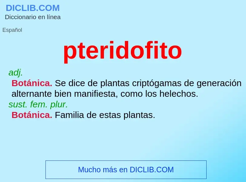 ¿Qué es pteridofito? - significado y definición