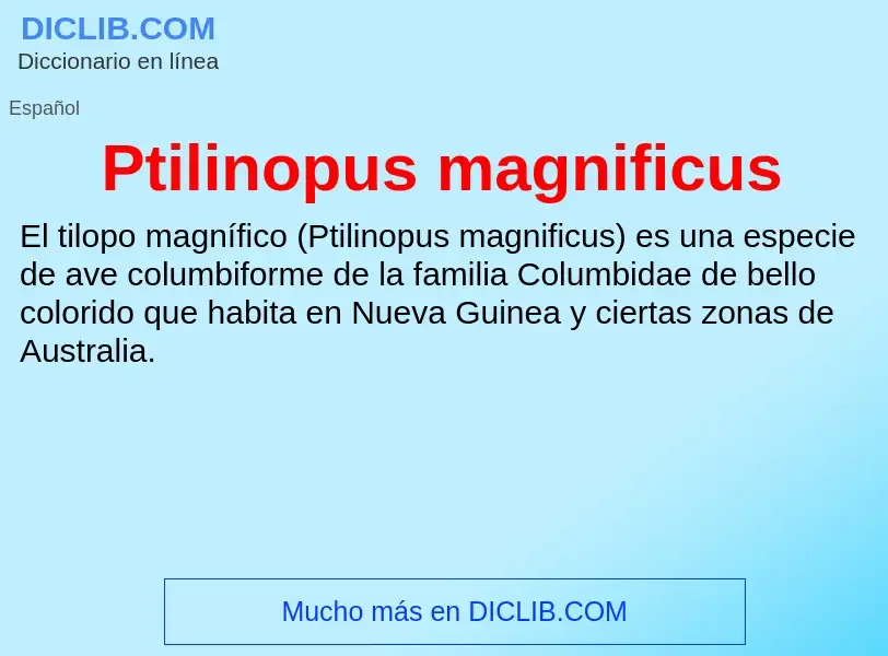 Что такое Ptilinopus magnificus - определение