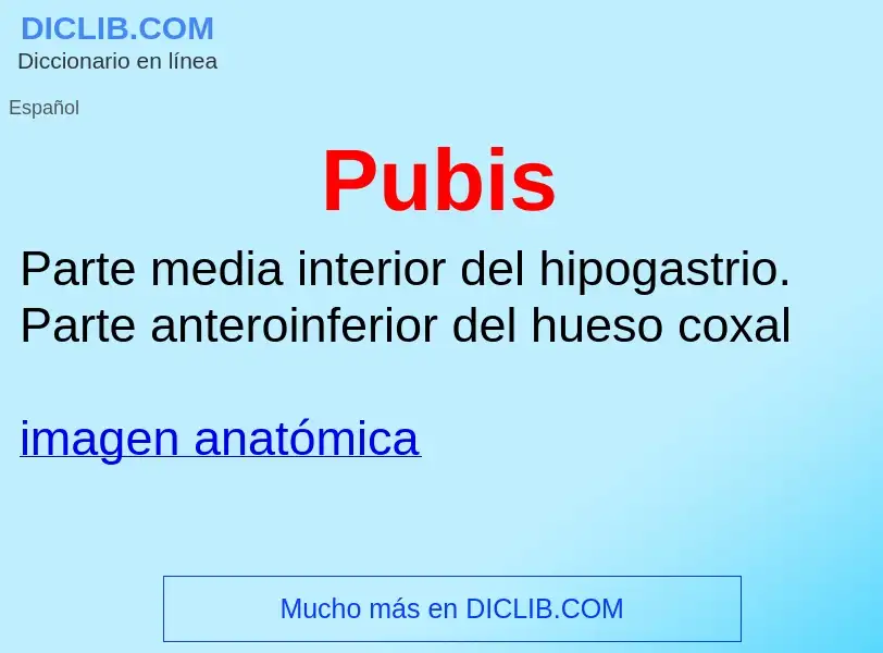 Wat is Pubis - definition