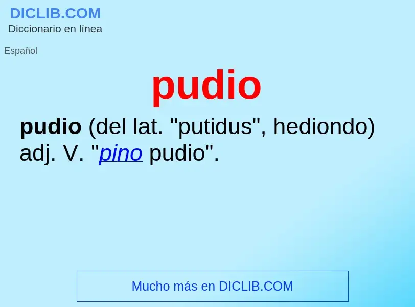 ¿Qué es pudio? - significado y definición