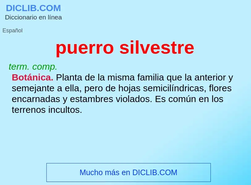 What is puerro silvestre - meaning and definition