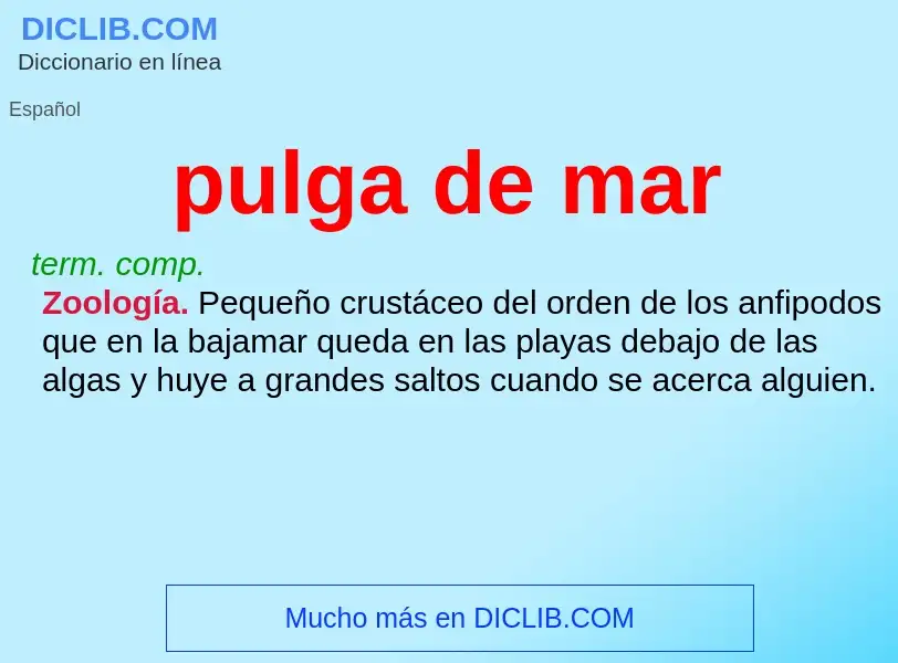 Was ist pulga de mar - Definition