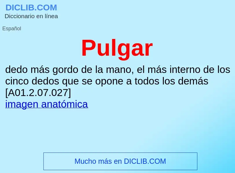 ¿Qué es Pulgar? - significado y definición