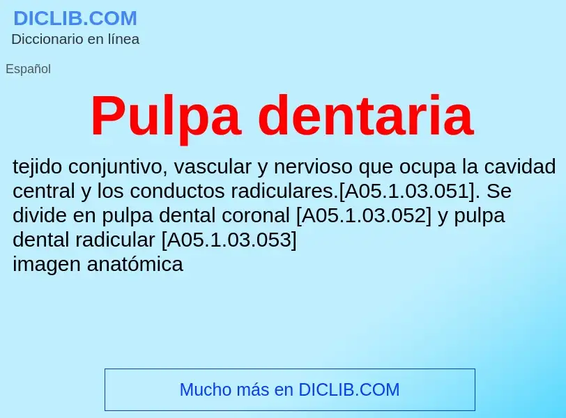 Wat is Pulpa dentaria - definition