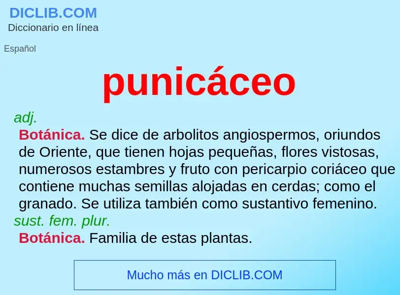 ¿Qué es punicáceo? - significado y definición