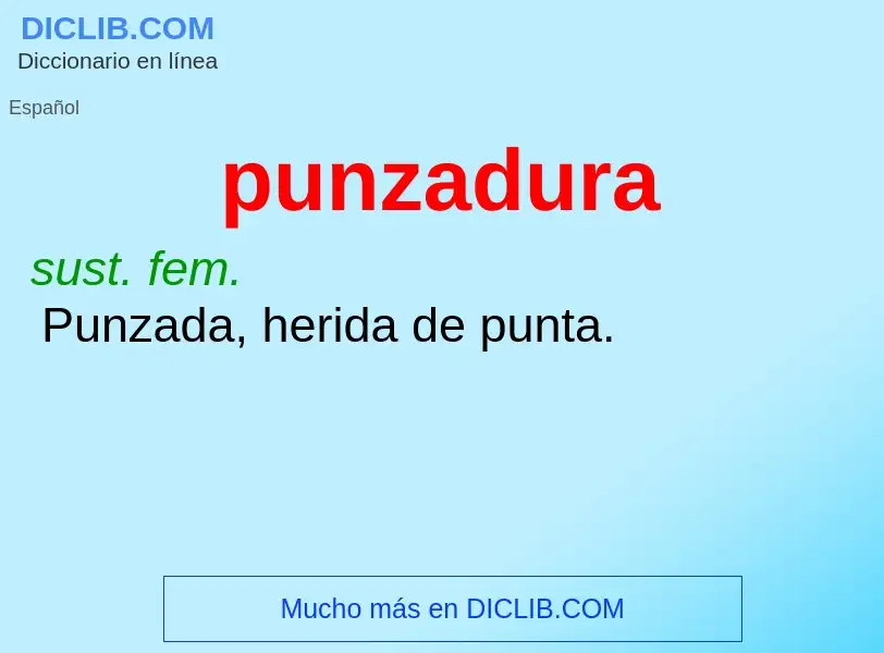 Was ist punzadura - Definition