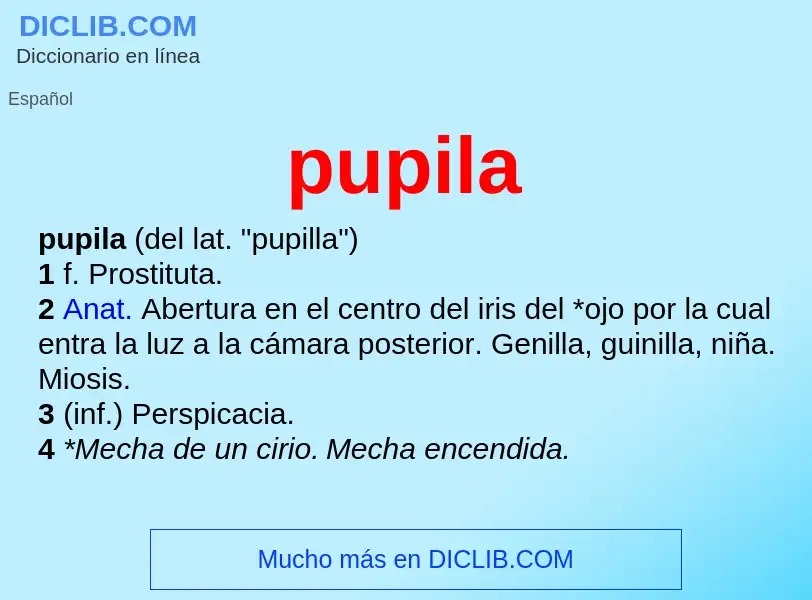 What is pupila - meaning and definition