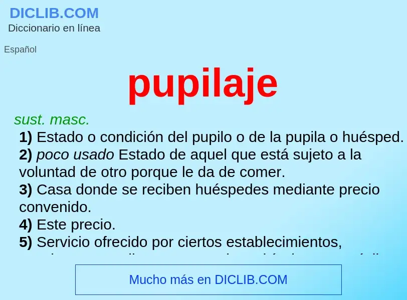 Was ist pupilaje - Definition