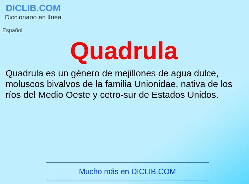 ¿Qué es Quadrula? - significado y definición