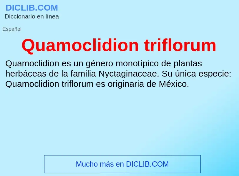 What is Quamoclidion triflorum - meaning and definition