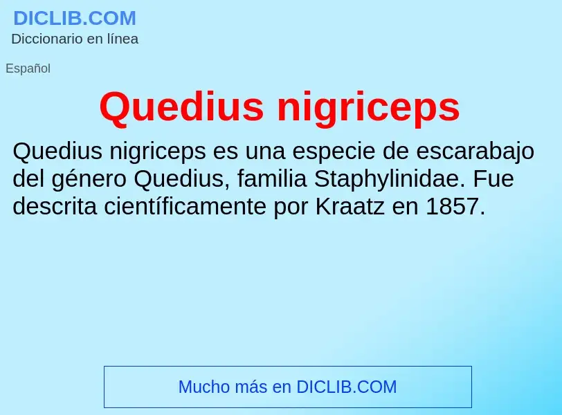 Τι είναι Quedius nigriceps - ορισμός