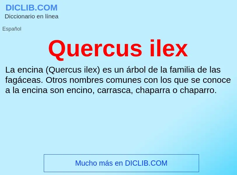 ¿Qué es Quercus ilex? - significado y definición