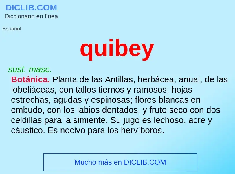 ¿Qué es quibey? - significado y definición