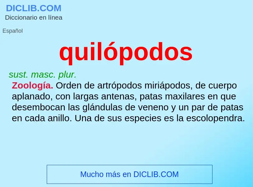 ¿Qué es quilópodos? - significado y definición