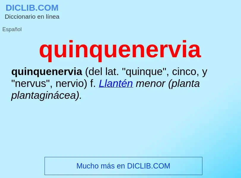 What is quinquenervia - meaning and definition