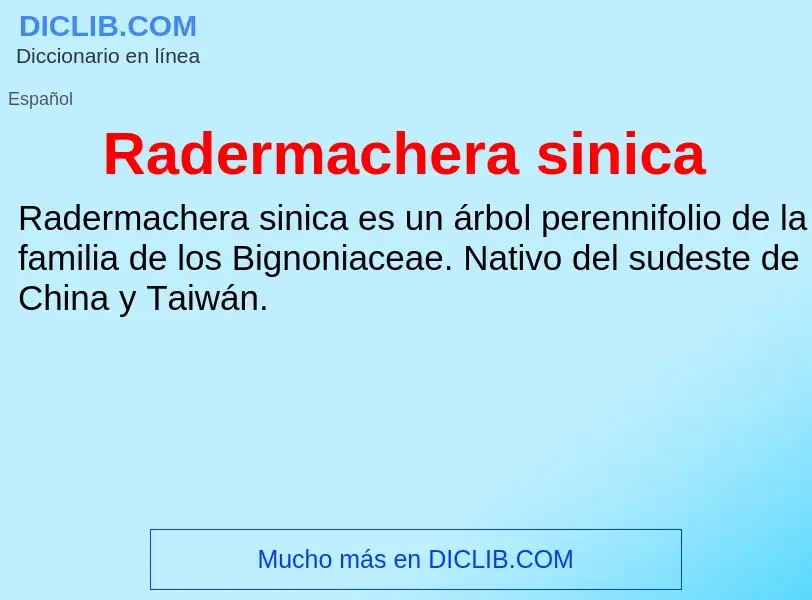 ¿Qué es Radermachera sinica? - significado y definición