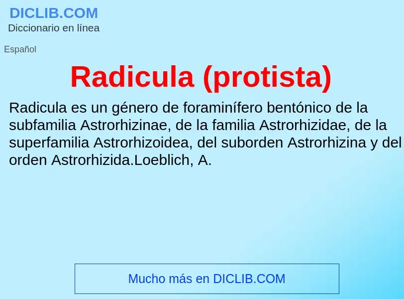 ¿Qué es Radicula (protista)? - significado y definición