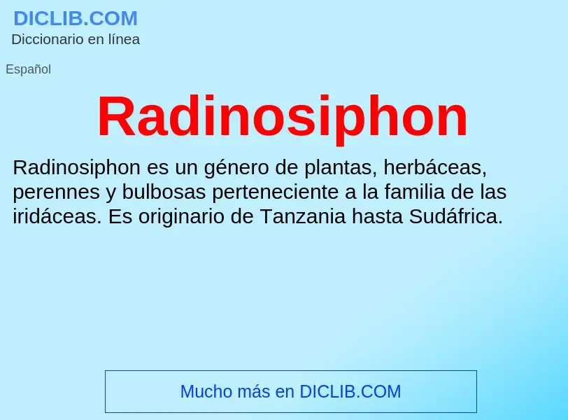 ¿Qué es Radinosiphon? - significado y definición