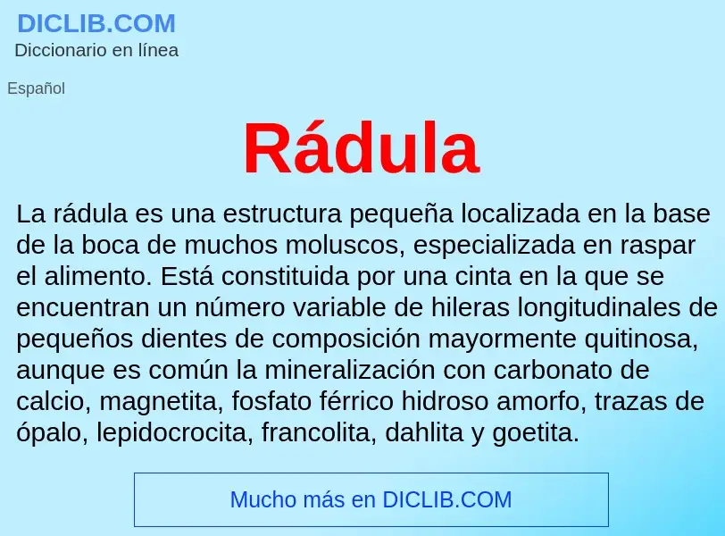 ¿Qué es Rádula? - significado y definición