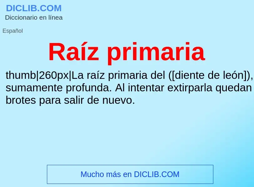 What is Raíz primaria - meaning and definition