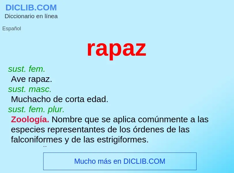 Was ist rapaz - Definition