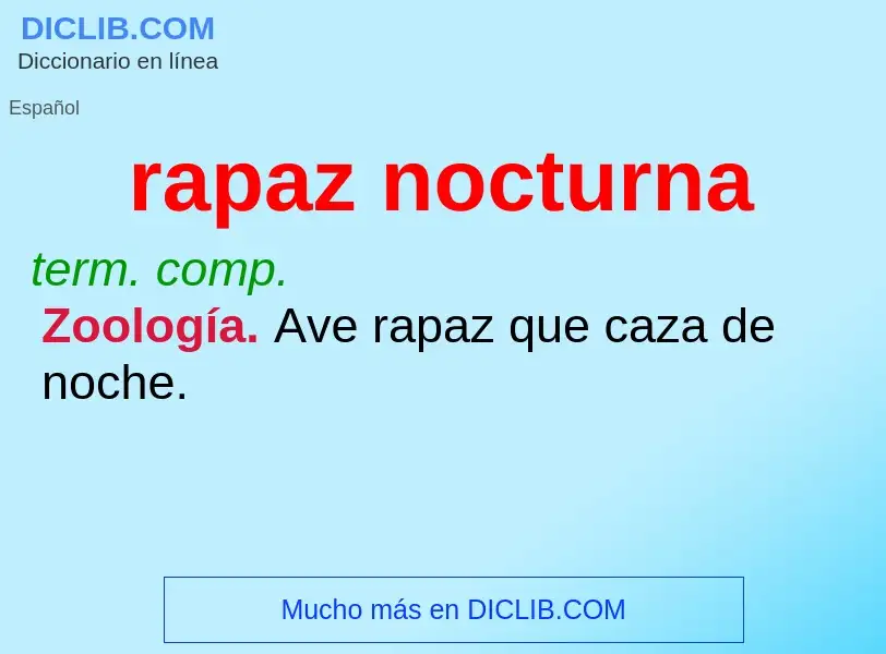 What is rapaz nocturna - meaning and definition