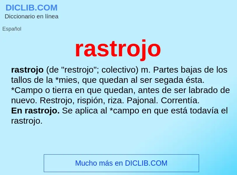 What is rastrojo - meaning and definition