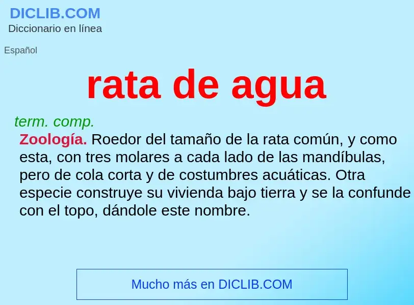 ¿Qué es rata de agua? - significado y definición