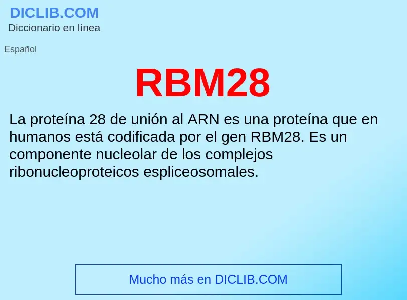 Wat is RBM28 - definition