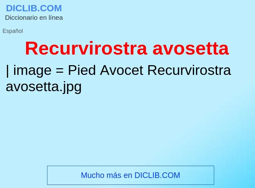 Wat is Recurvirostra avosetta - definition