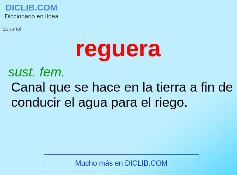 O que é reguera - definição, significado, conceito