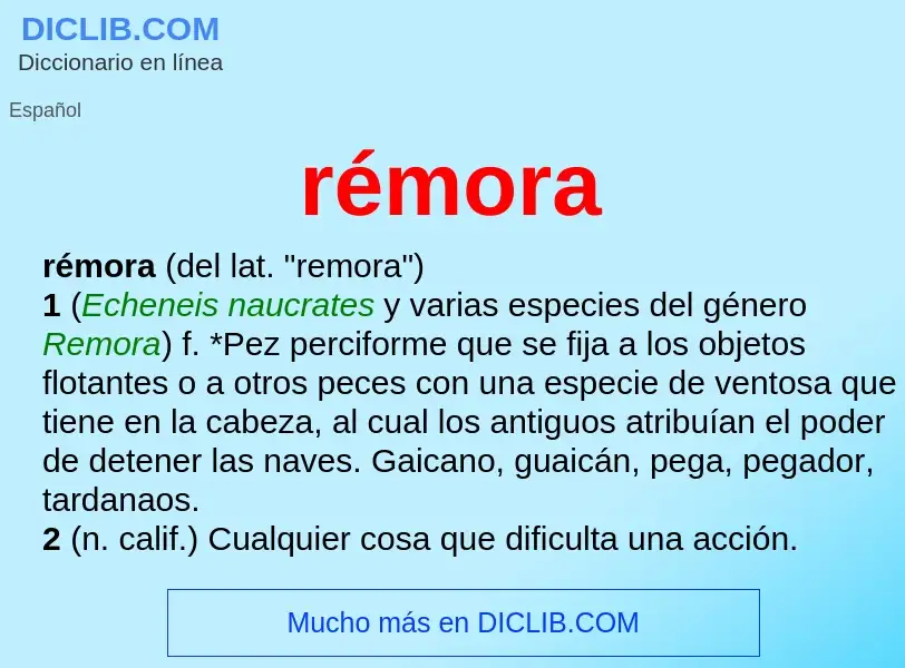 Wat is rémora - definition