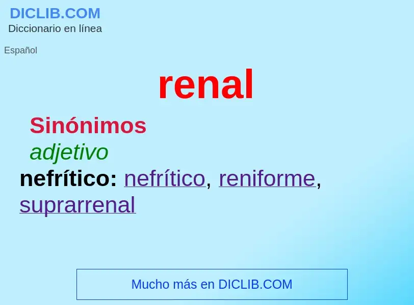 What is renal - meaning and definition