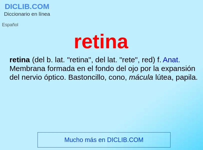 ¿Qué es retina? - significado y definición