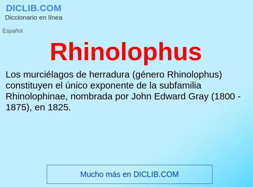 Что такое Rhinolophus - определение